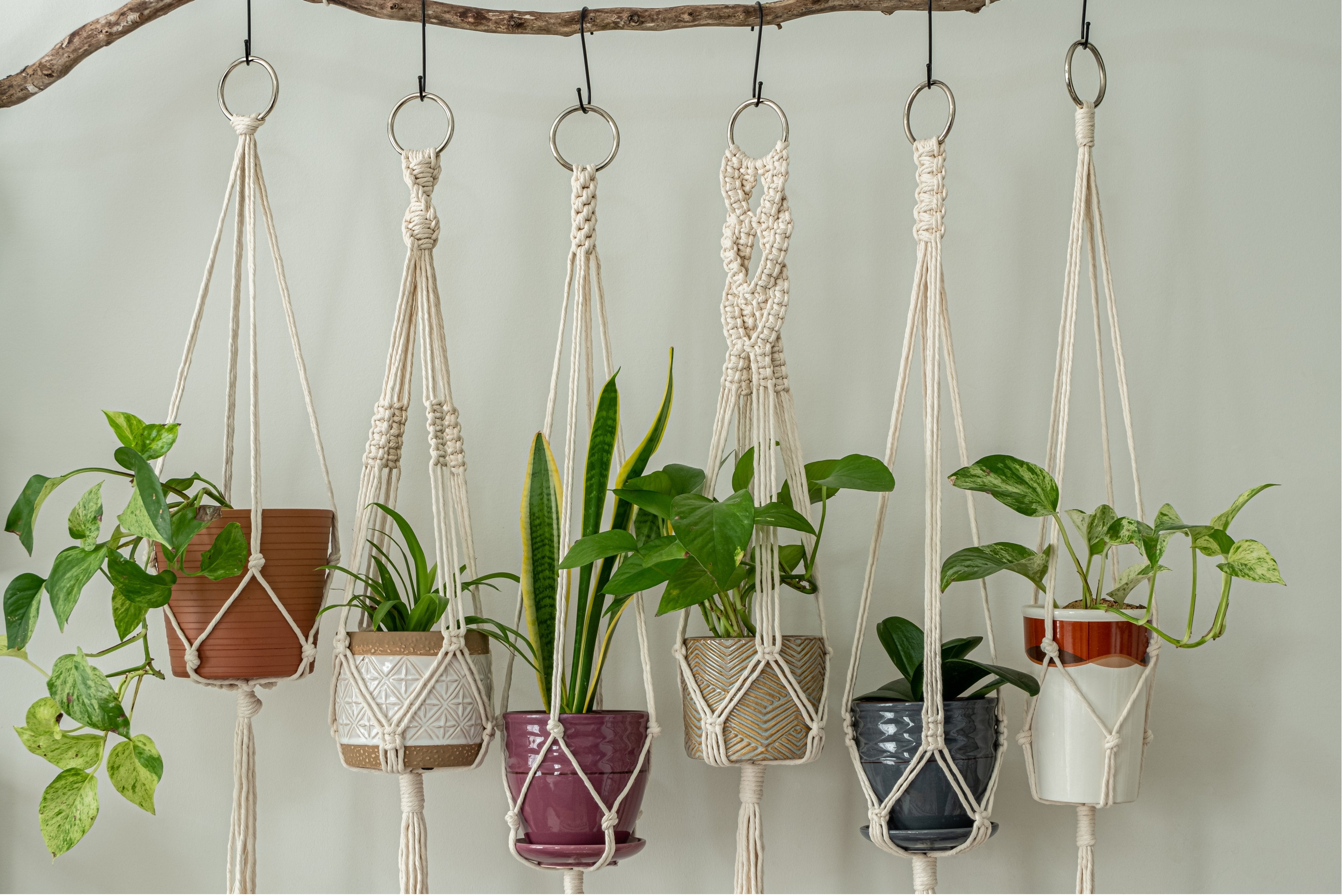 Macrame Flower Pots - Swedish Cloth, Sponge, Eco-friendly