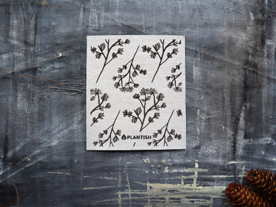 Anise Blossom - Swedish Sponge Cloth