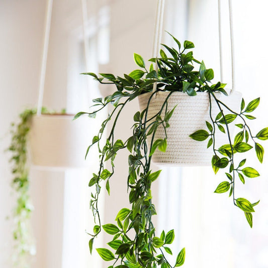 4 inch Hanging Basket Planter - Handmade