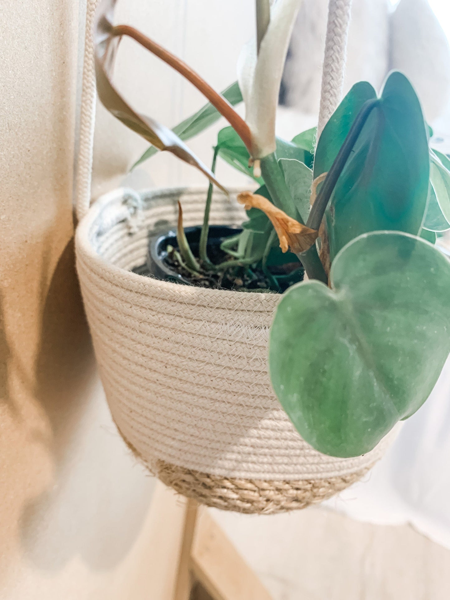 4 inch Cotton/Jute Hanging Basket Planter - Handmade
